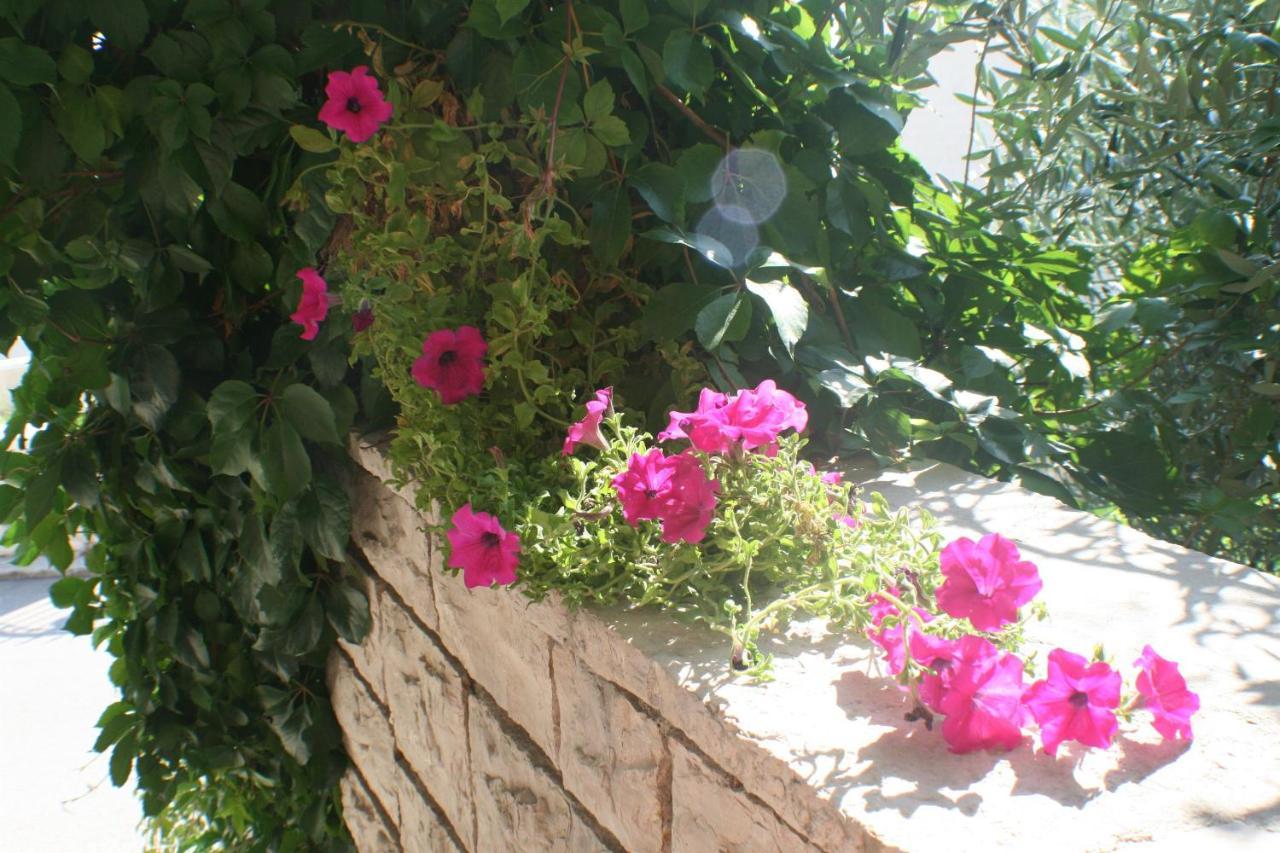 Apartments And Rooms Lea Bol Dış mekan fotoğraf